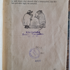O czym szumią wierzby