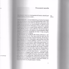 Nam wieczna w polszczyźnie rozróba. Marian Pankowski mówi