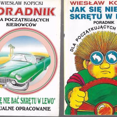 Jak się nie bać skrętu w lewo. Poradnik dla początkujących kierowców. Aktualne opracowanie