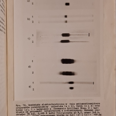 Ceruloplazmina  człowieka, świni, i krowy. Stabilność i alternatywna droga działania