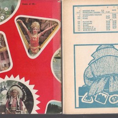 Vademecum podróżującego