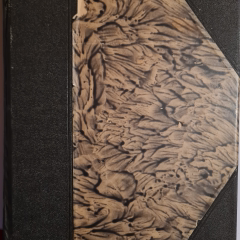 Księga kondolencyjna