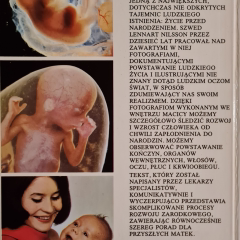 Życie przed narodzeniem. Fotodokumentacja rozwoju życia ludzkiego w łonie matki. Praktyczne porady dla przyszłych matek