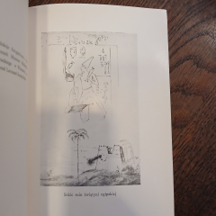 Kombatanci i podróżnicy